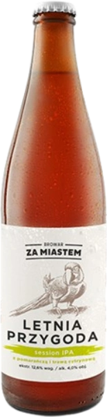 Za Miastem - Letnia Przygoda
